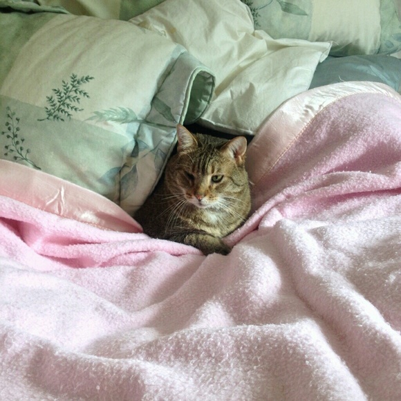 Meet your Posher, C4T_N4NCY! - Picture 7 of 8